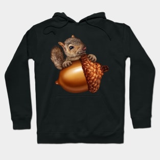 Funny Squirrel Holding An Acorn Hoodie